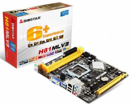 MBI Biostar H81MLV3 LGA1150