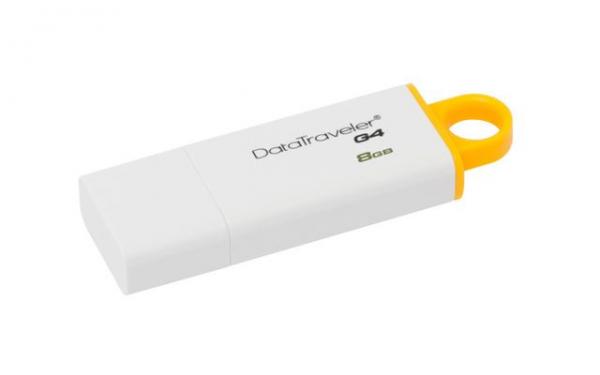 USB memorija Kingston 8GB DTIG48GB