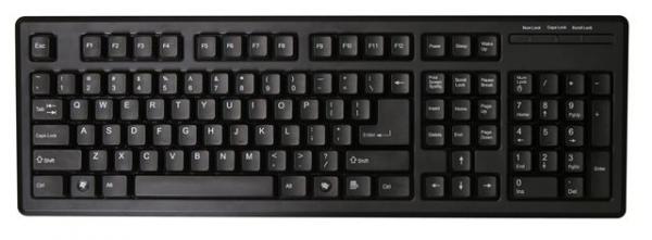 MS žična tastatura KB-01 USB US layout