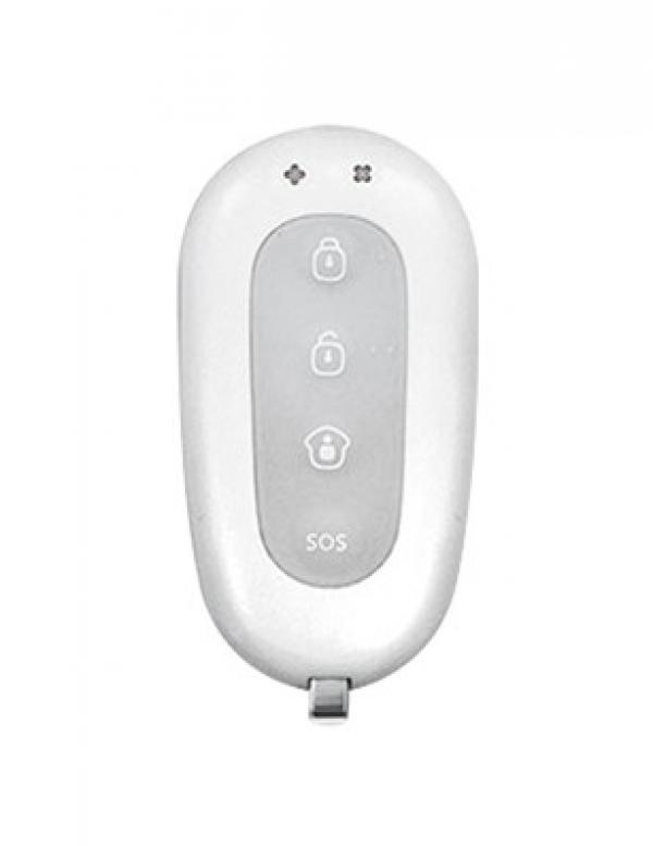 RE2300 Remote Control (2 pieces)